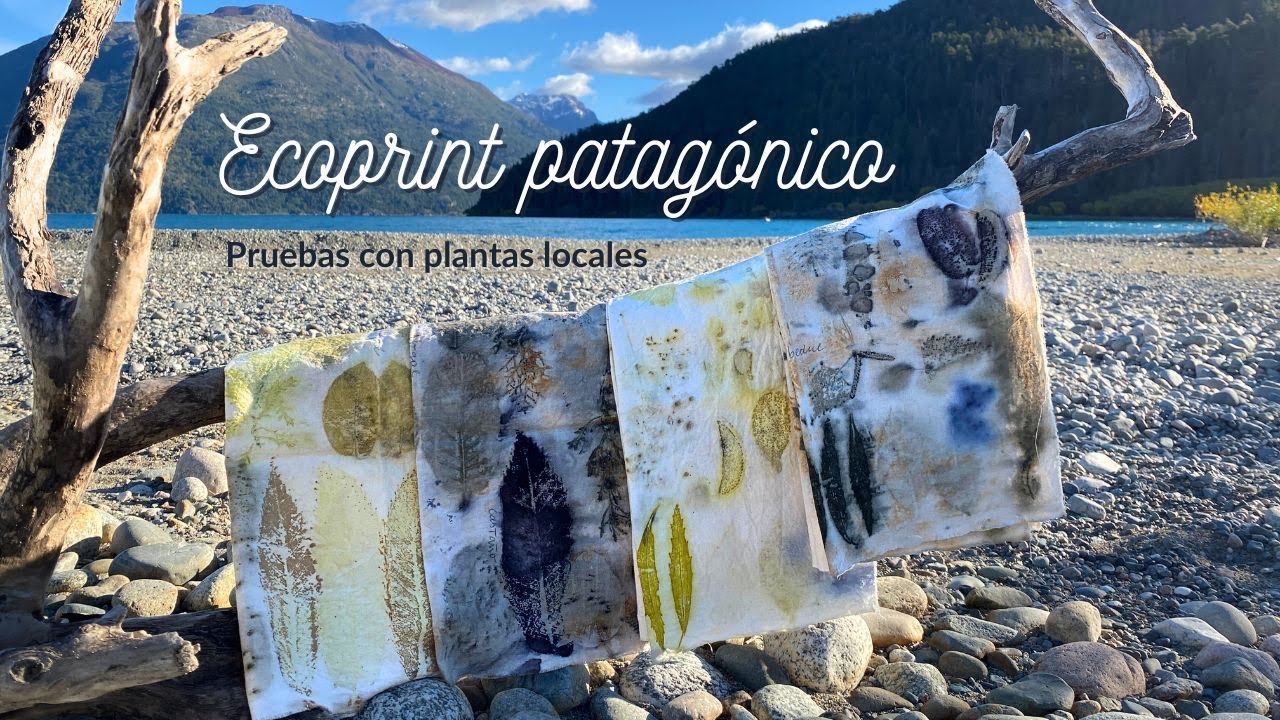 ¿Cómo hacer pruebas de ecoprint?