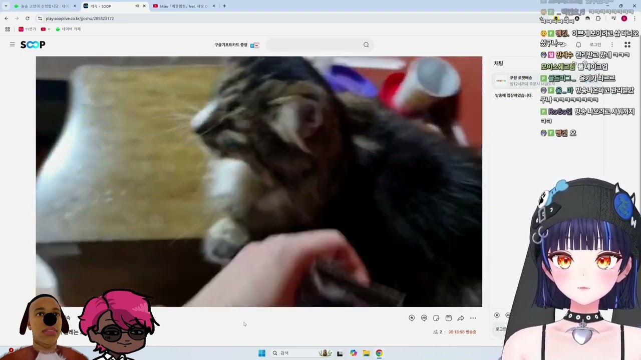 엄청난 고양이 털 식빵