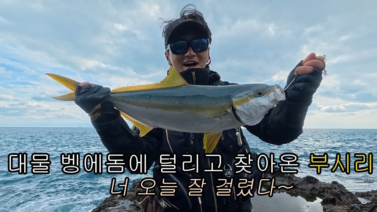 벵에돔 터트리고 부시리 혼내주는 제로낚시 주인장!
