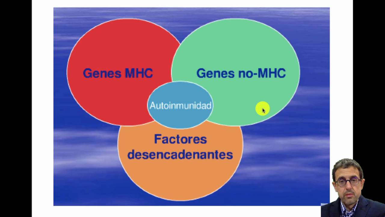 Lec005b Tolerancia y Autoinmunidad (II) (umh1947)