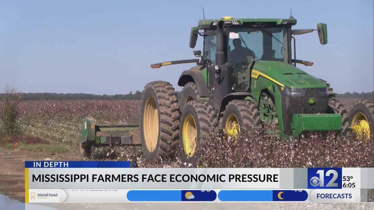 Mississippi farmers face economic pressure