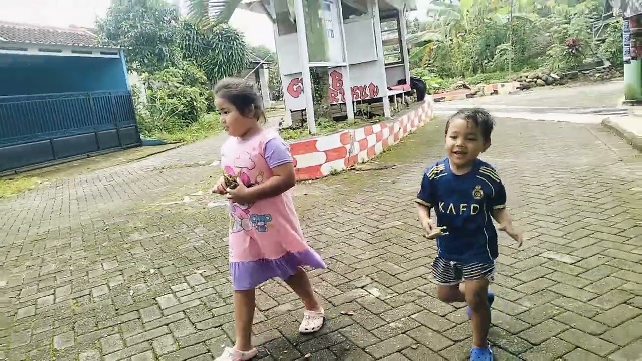 Kaka ndut