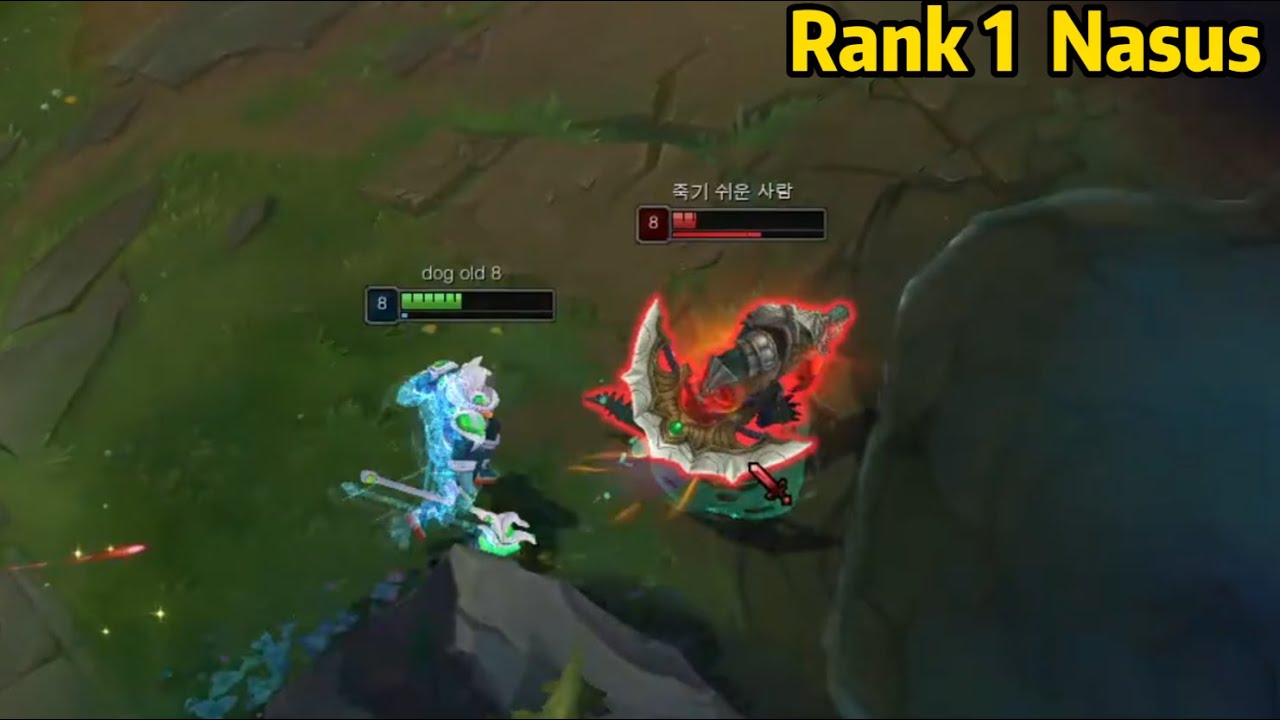 Rank 1 Nasus: The Only Challenger Nasus in KR Server be Like...
