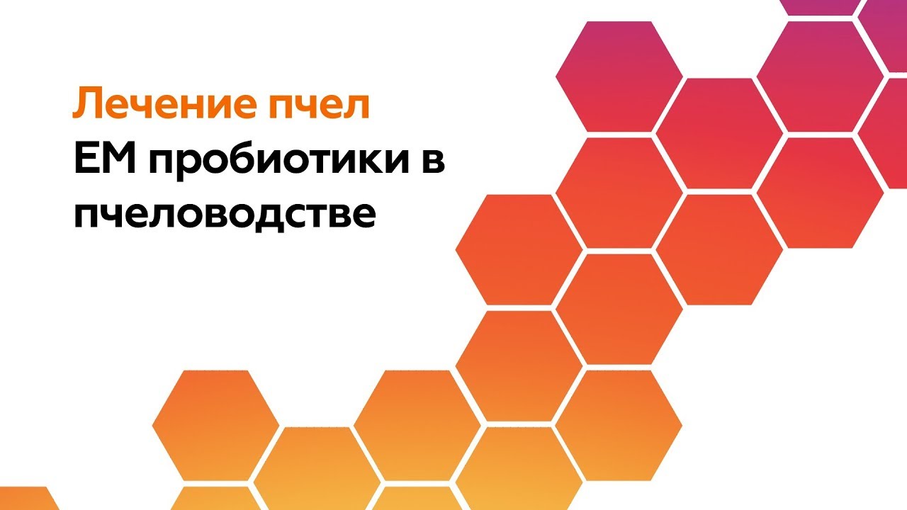 Лечение пчел — EM пробиотики для пчел и их применение
