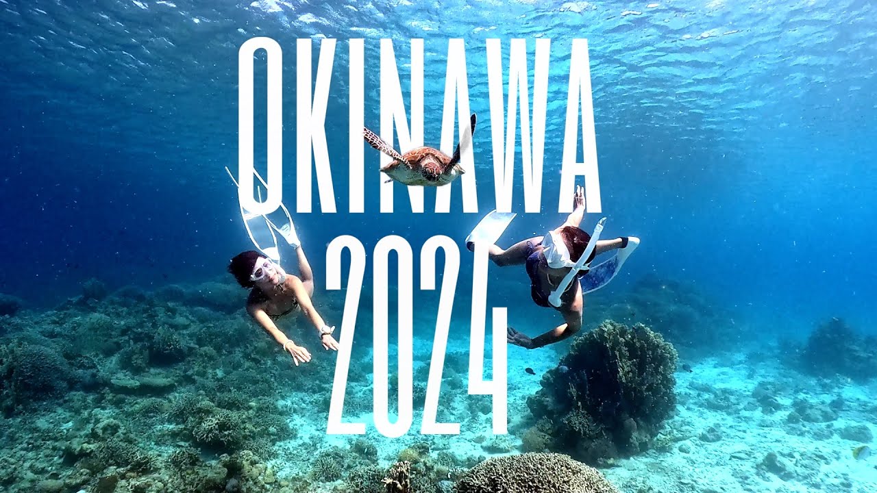 沖縄県座間味島＆安室島にて撮影！スキンダイビングツアー2024年