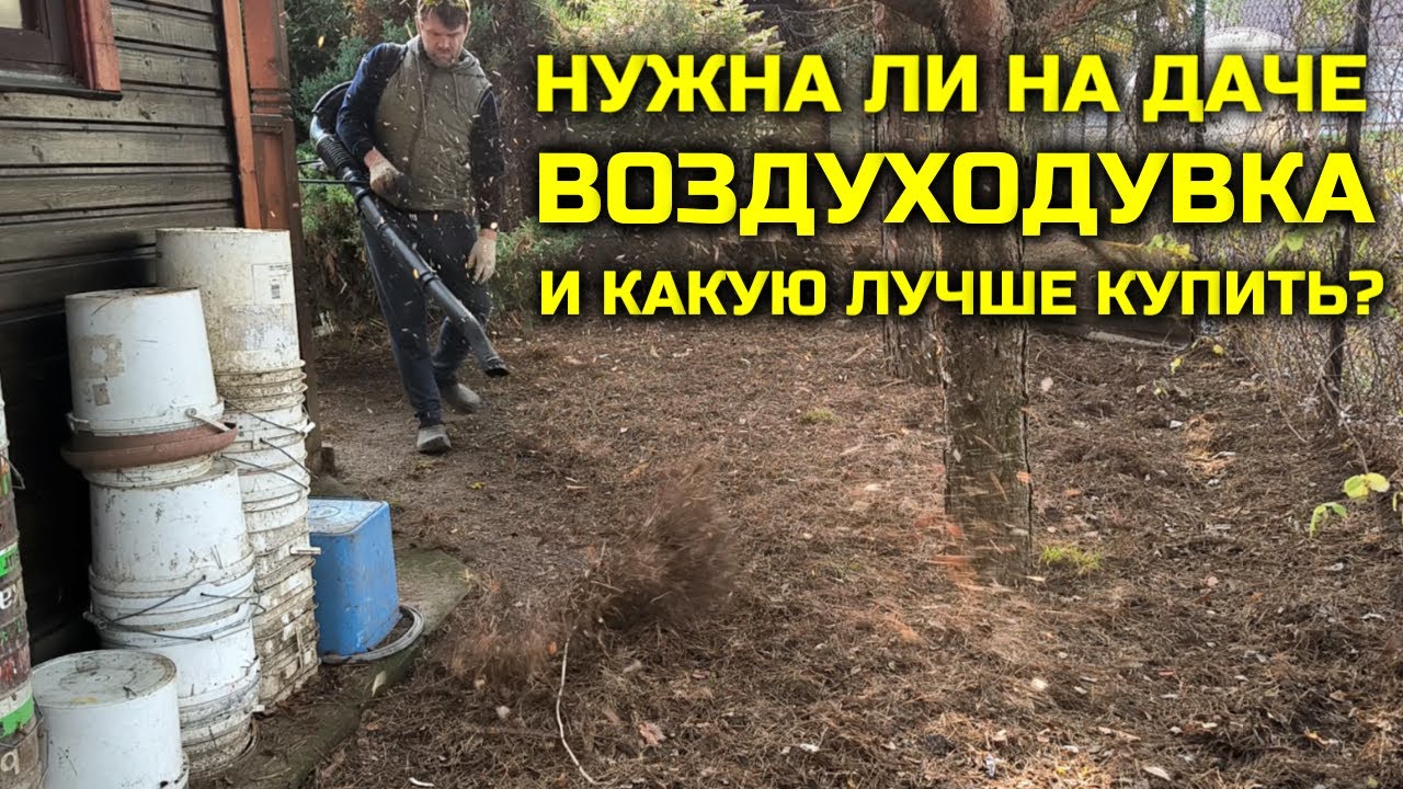 Нужна ли на даче ВОЗДУХОДУВКА и какую воздуходувку купить
