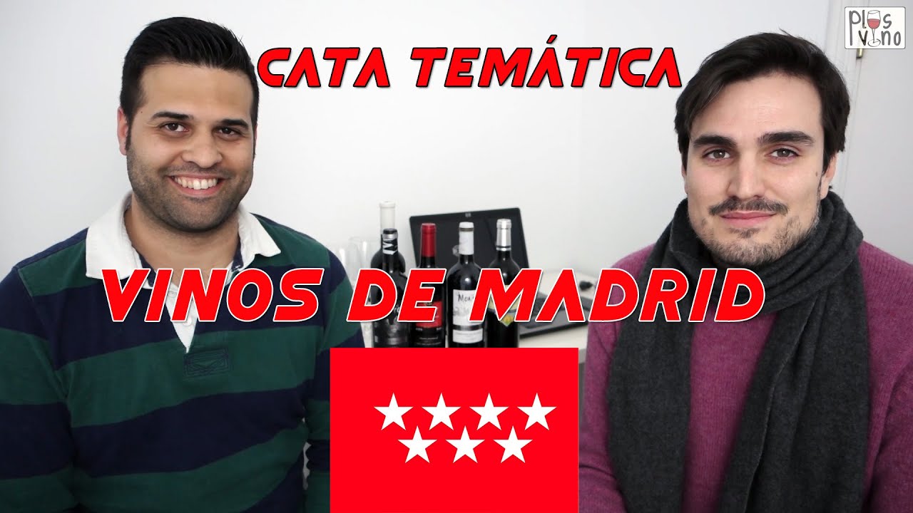 DO Vinos de Madrid - Cata temática