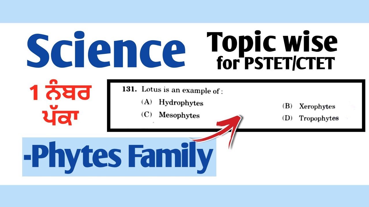 Phytes Family | Topic wise Science for PSTET/CTET in Punjabi