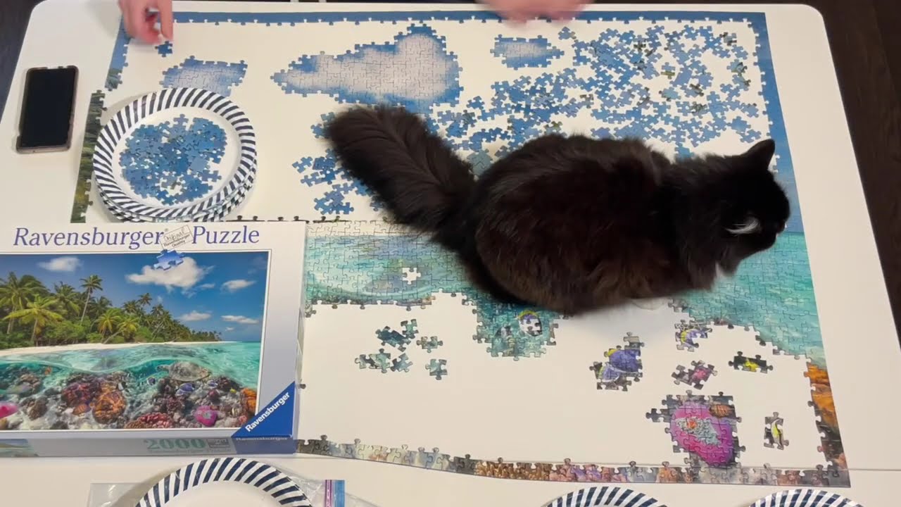 Ravensburger Dive in the Maldives 2000 Piece Puzzle