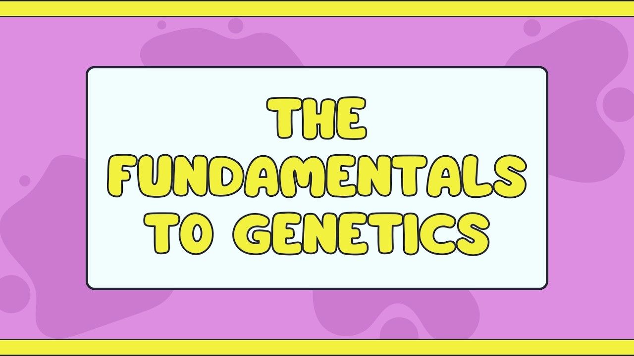 The Fundamentals to Genetics | DNA, Genes & Inheritance