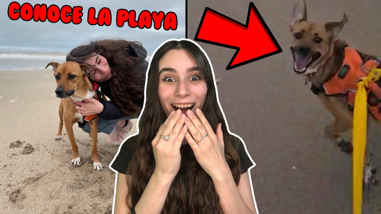 MI BEBÉ LISA CONOCE LA PLAYA POR PRIMERA VEZ