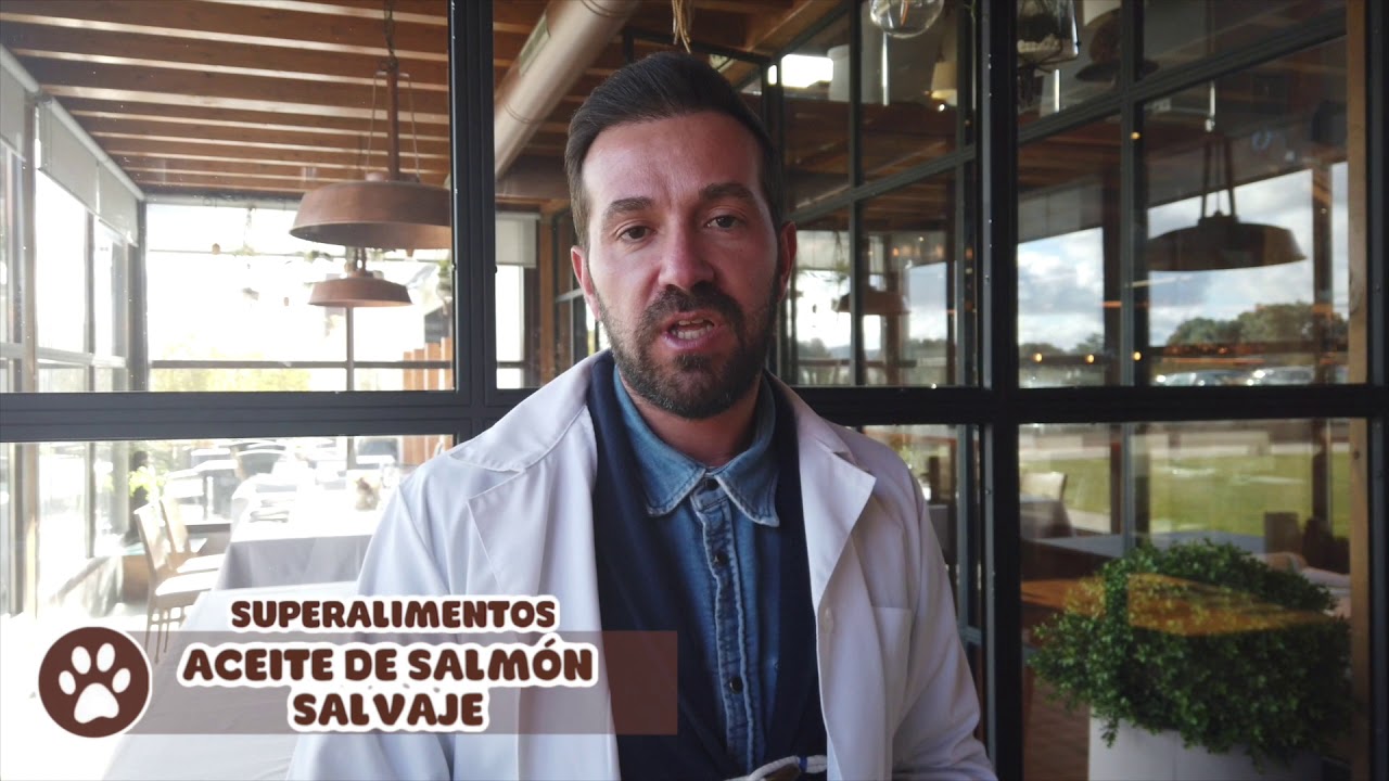 Superalimentos: ACEITE DE SALM&Oacute;N SALVAJE