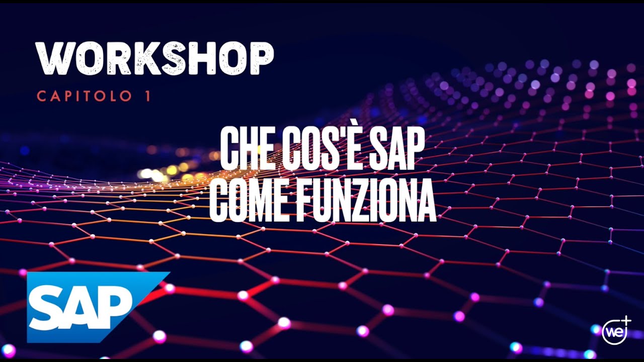 Capitolo 1 &ndash; Che cos&rsquo;&egrave; SAP e come funziona