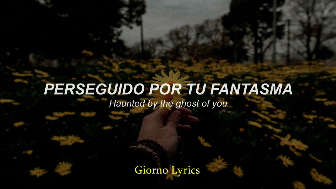 Lord Huron - The Night We Met // Español + English