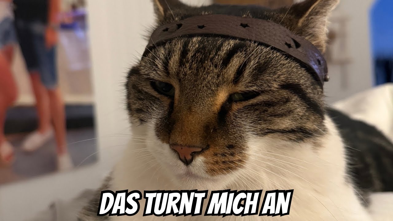 Er ist verrückt danach 🥵