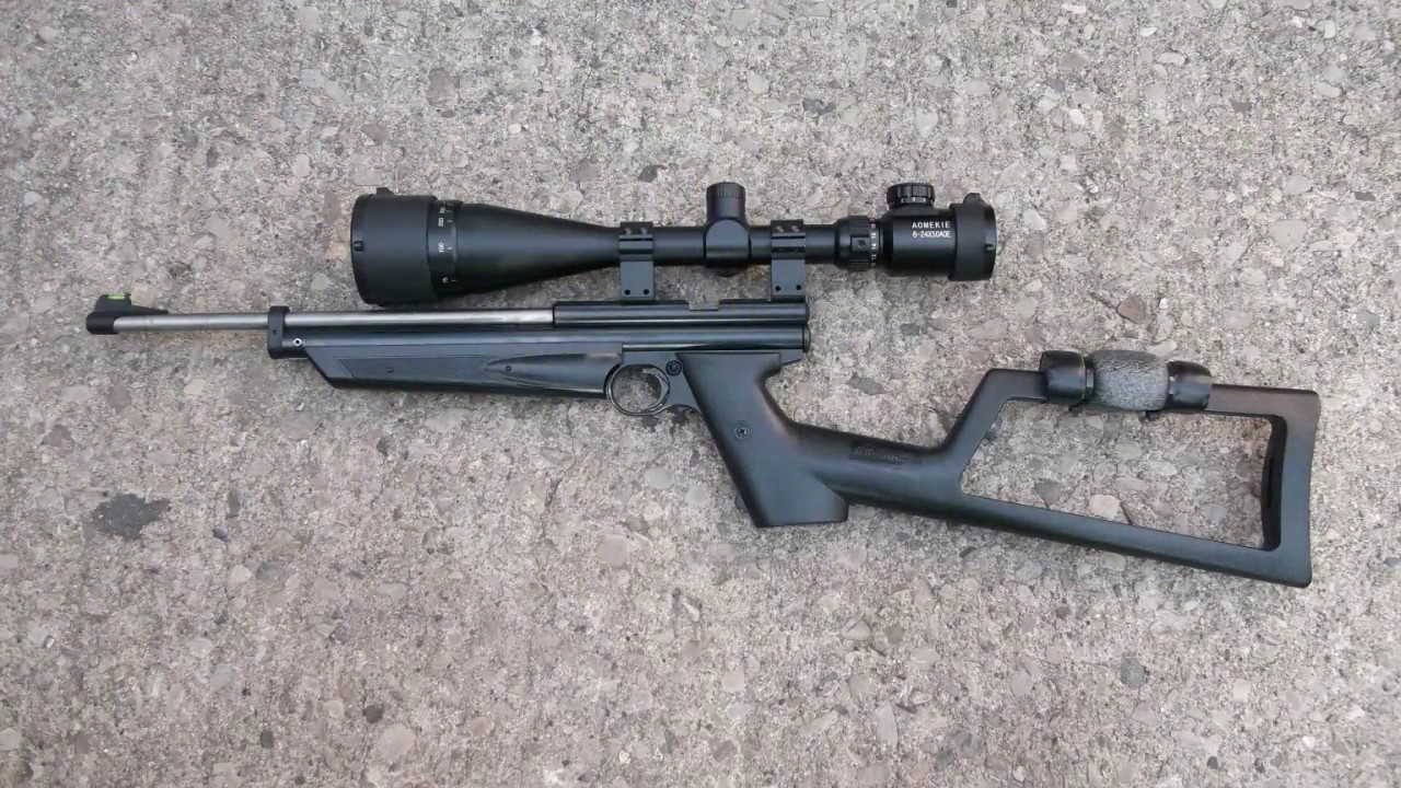 Crosman 1322 shooting 100m