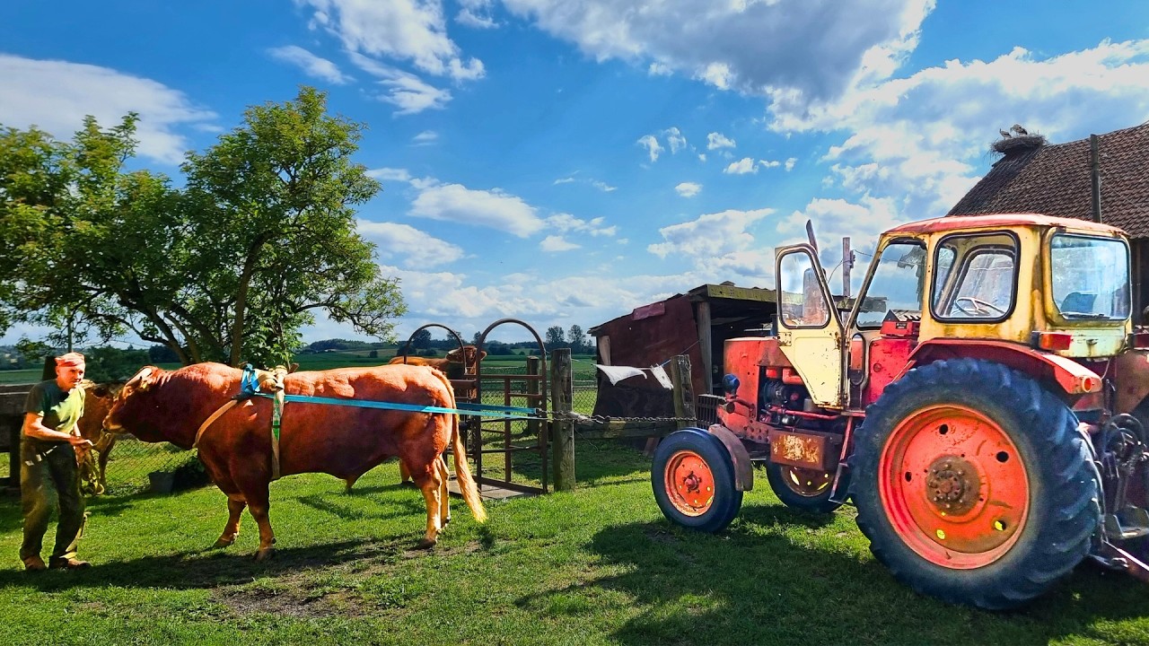 BYK pociągnie 4-tonowy TRAKTOR? Pomaga Marcel, WNUK pana ROMKA