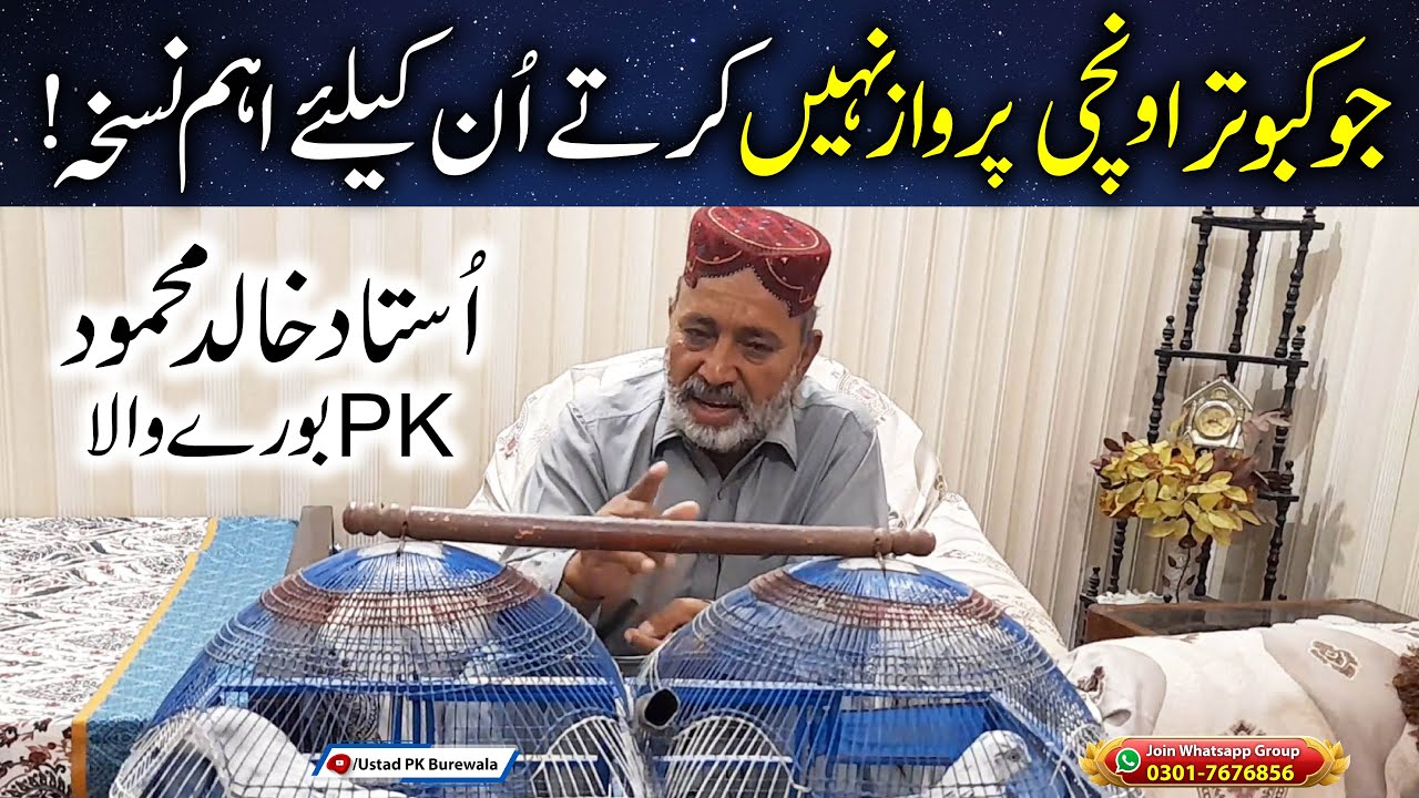 Jo Kabotar Unchi Parwaz Nahi Karty Unky Liye Aham Nuskha | جو کبوتر اونچی پرواز نہیں کرتے