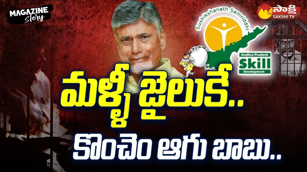 Briefly Explained about Chandrababu Interim Bail | Sakshi Magazine Story | @SakshiTV