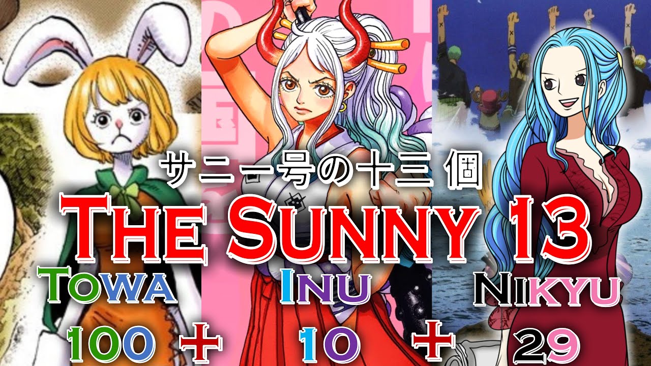 These are the final Straw Hats and their Devil Fruits, I can prove it.- サニー号の十三個 The Sunny 13 Theory