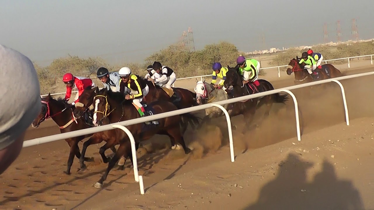 ج 14 مهرجان الموروث الشعبي الجواد غلا سلمان / اسطبل البرازي 2