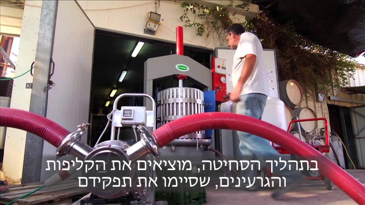 חוויית יין בחוות כרמי עבדת - הכנת יין מדברי בנגב