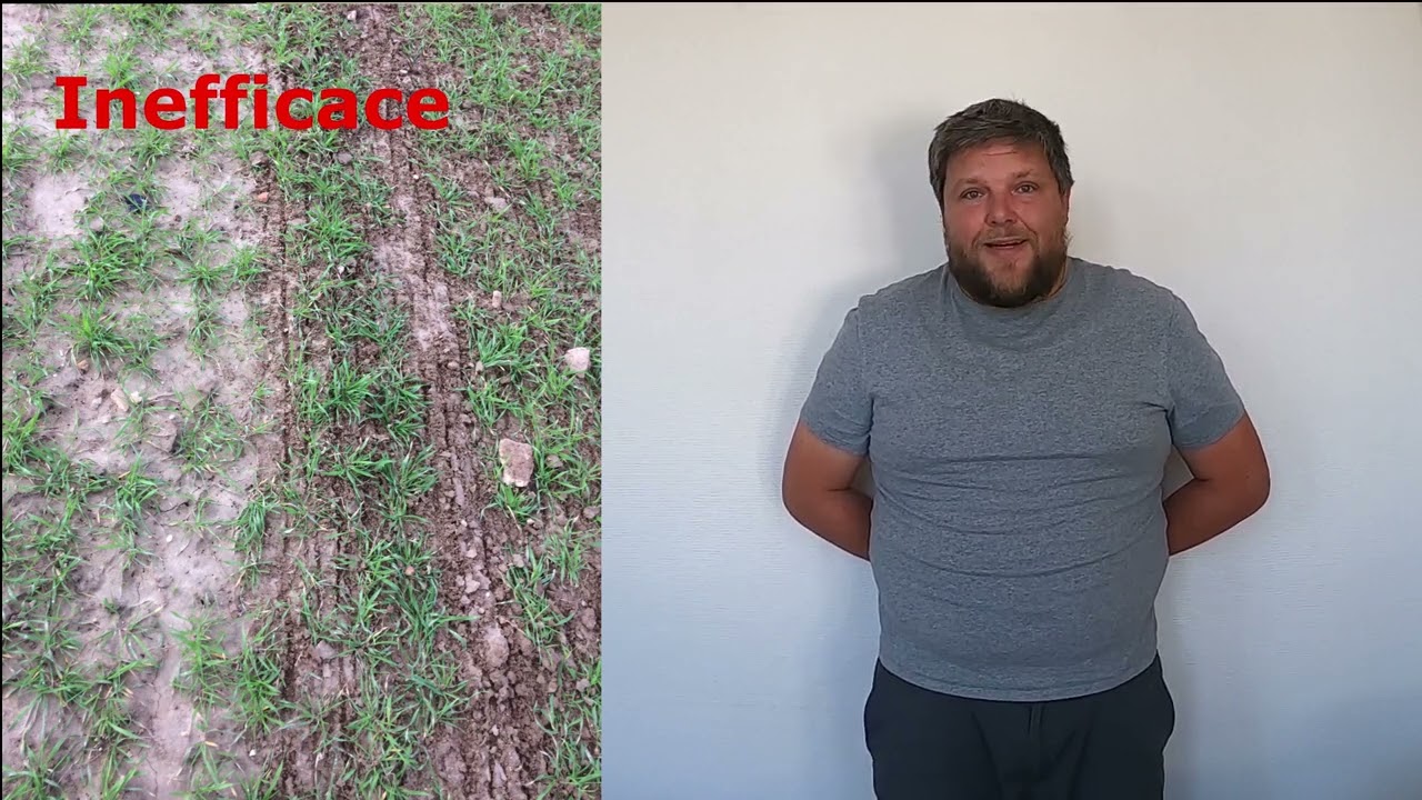 Herse étrille vidéo   VF
