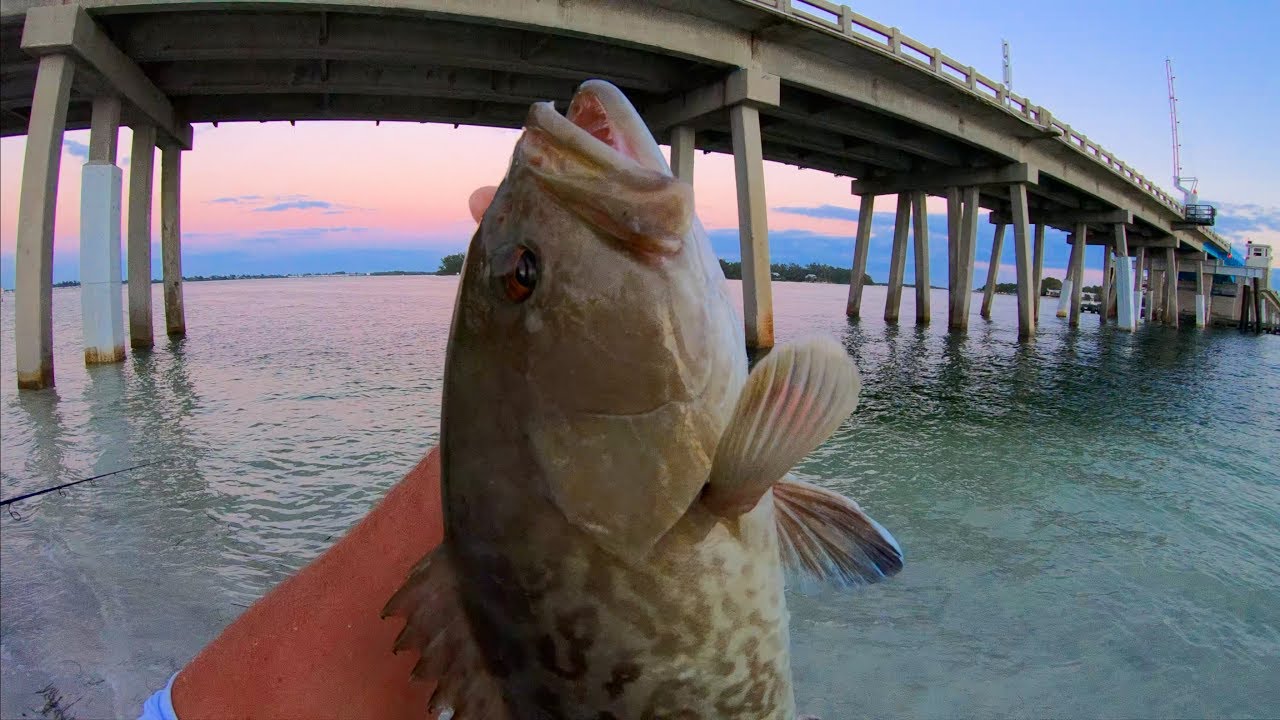LIGHT TACKLE Bridge Fishing CHALLENGE -Gag Grouper and Flounder! (West Coast Florida Fishing)