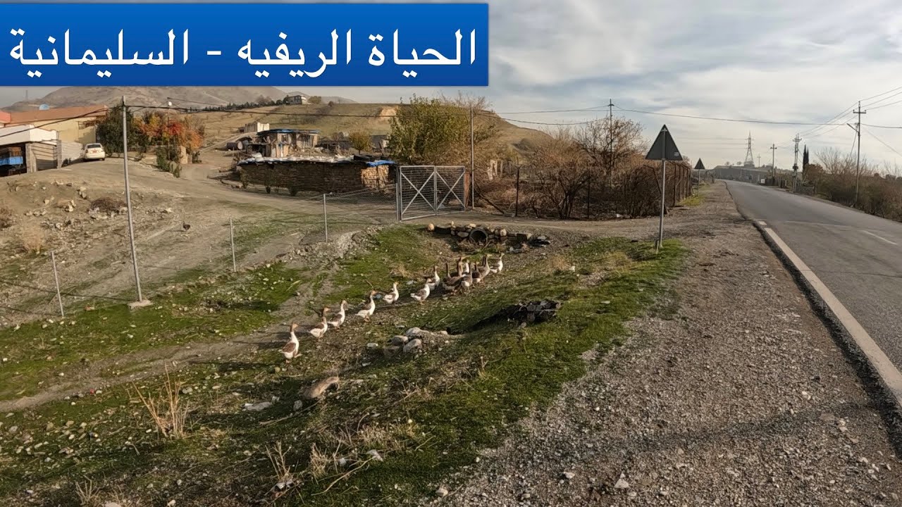 الحياة الريفيه في سليمانيه   (١)