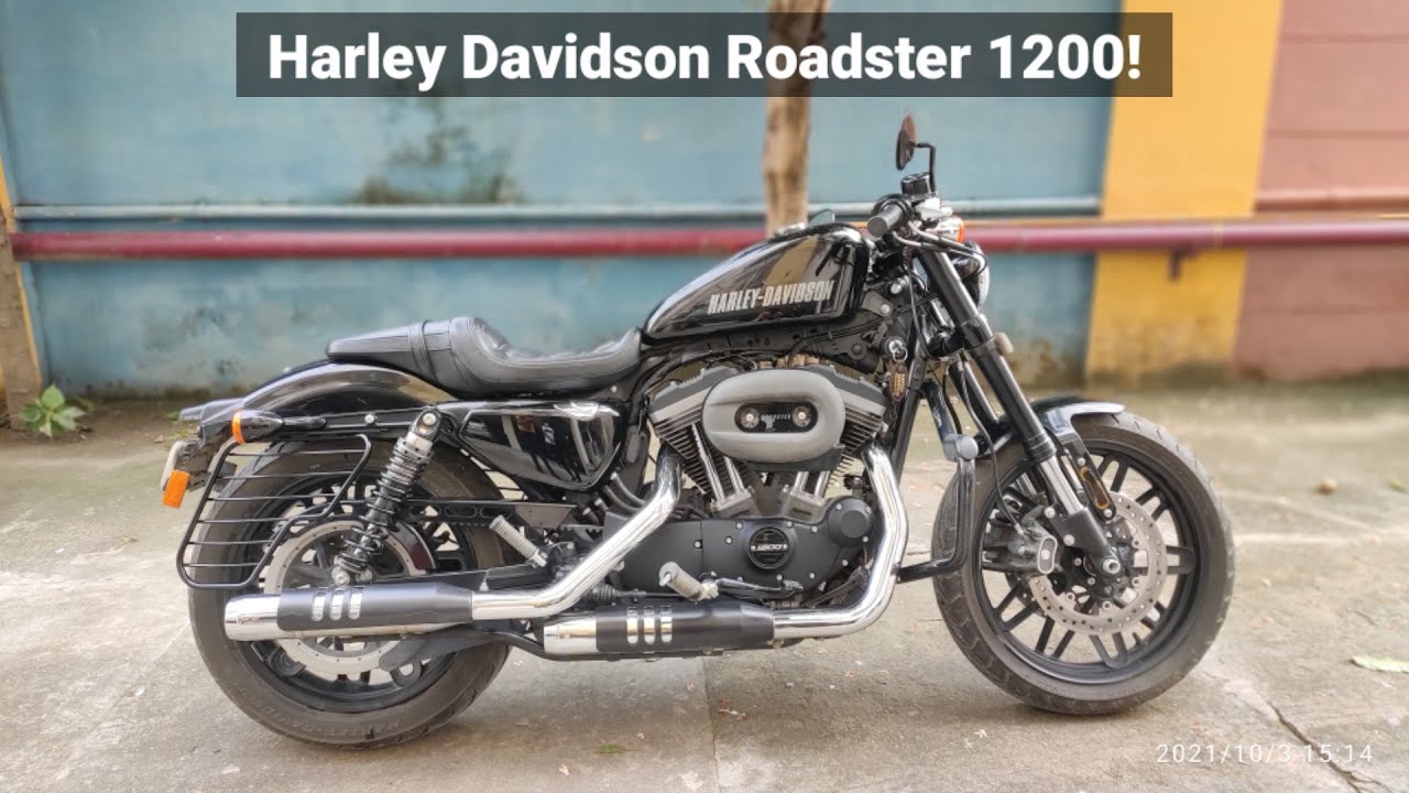 2018 Harley Davidson 1200 Roadster! | Cruiser | Walkaround plus small ride #MM