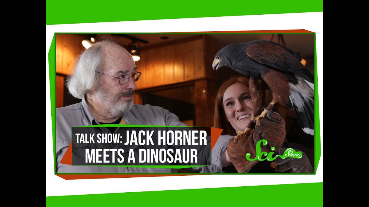 SciShow Talk Show: Jack Horner Meets a Dinosaur