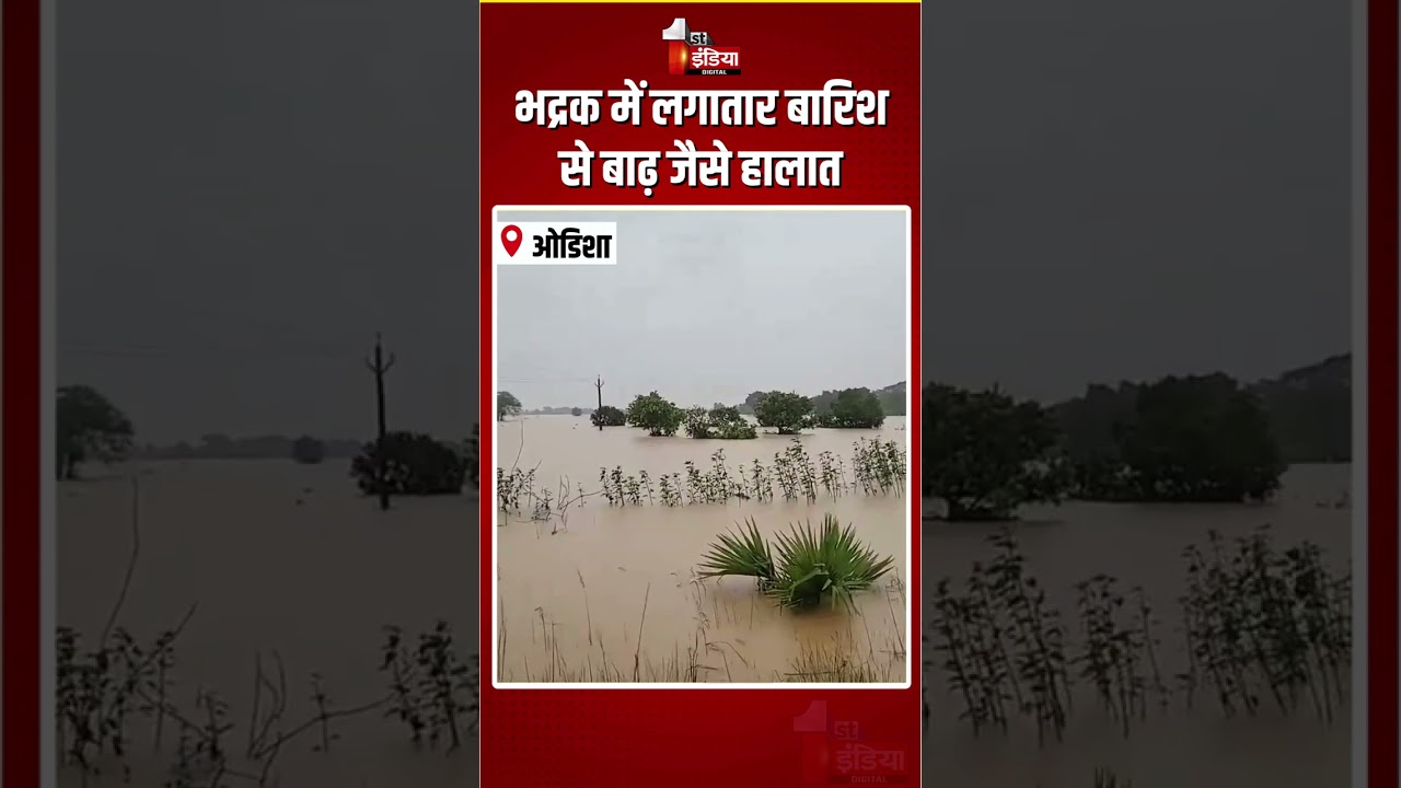 Odisha Flood: भद्रक में लगातार बारिश से बाढ़ जैसे हालात | Heavy Rain In Bhadrak | Monsoon 2026