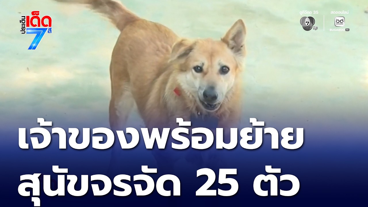 เจ้าของพร้อมย้ายสุนัข 25 ตัว | ประเด็นเด็ด 7 สี
