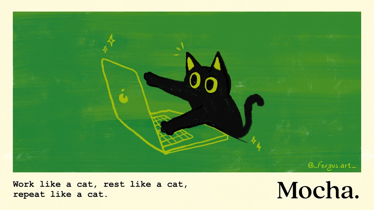 focus cat.