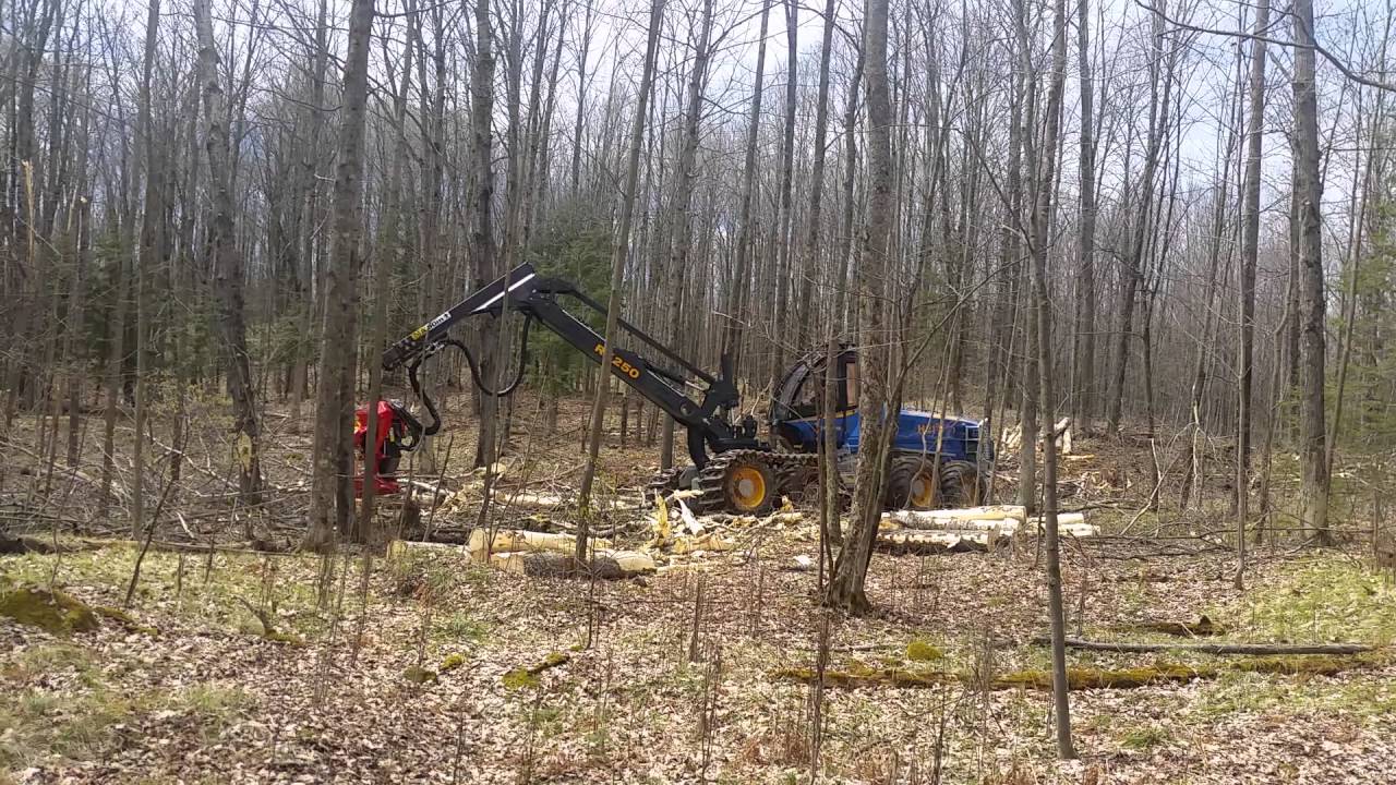 Rottne H21D with SP761