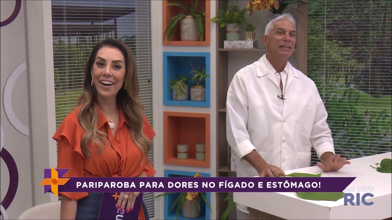 Os benefícios das plantas medicinais