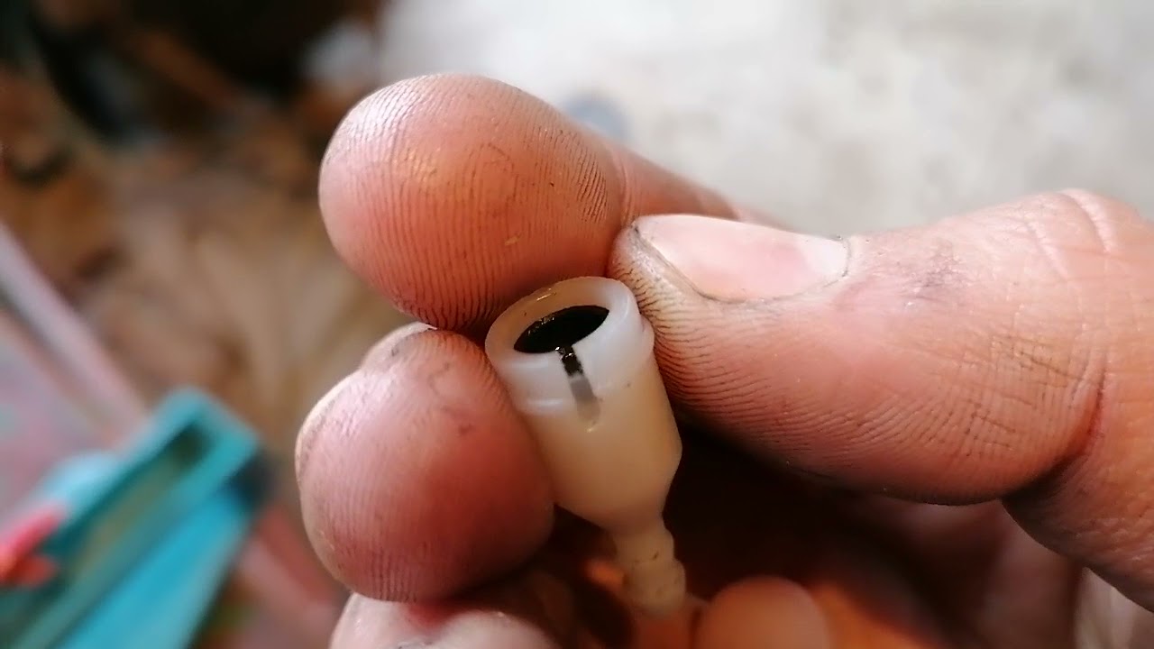 Probleme cu drujba chinezeasca 5200