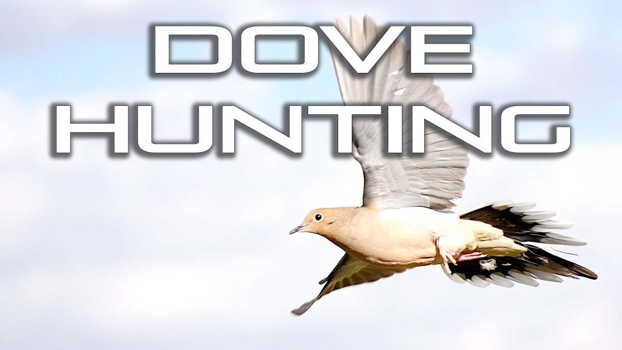 Field was LOADED with DOVES!! Was This the LONGEST Shot EVER?!