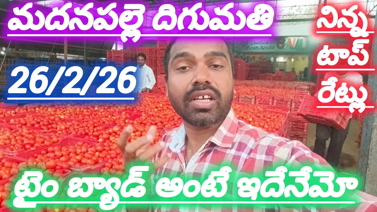 26/2/26 Madanapalle tomato market stock today 🍅 నిన్న టాప్ రేట్లు #yesterdaytomatorate #crkvideos16 