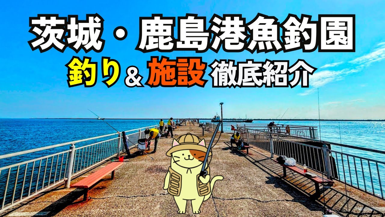 茨城「鹿島港魚釣園」釣り＆施設紹介｜駐車場、混雑時の対応、利用ルール、釣果情報、水深など入門情報を網羅。肝心の釣果はまさかの⚫️魚が連発・・