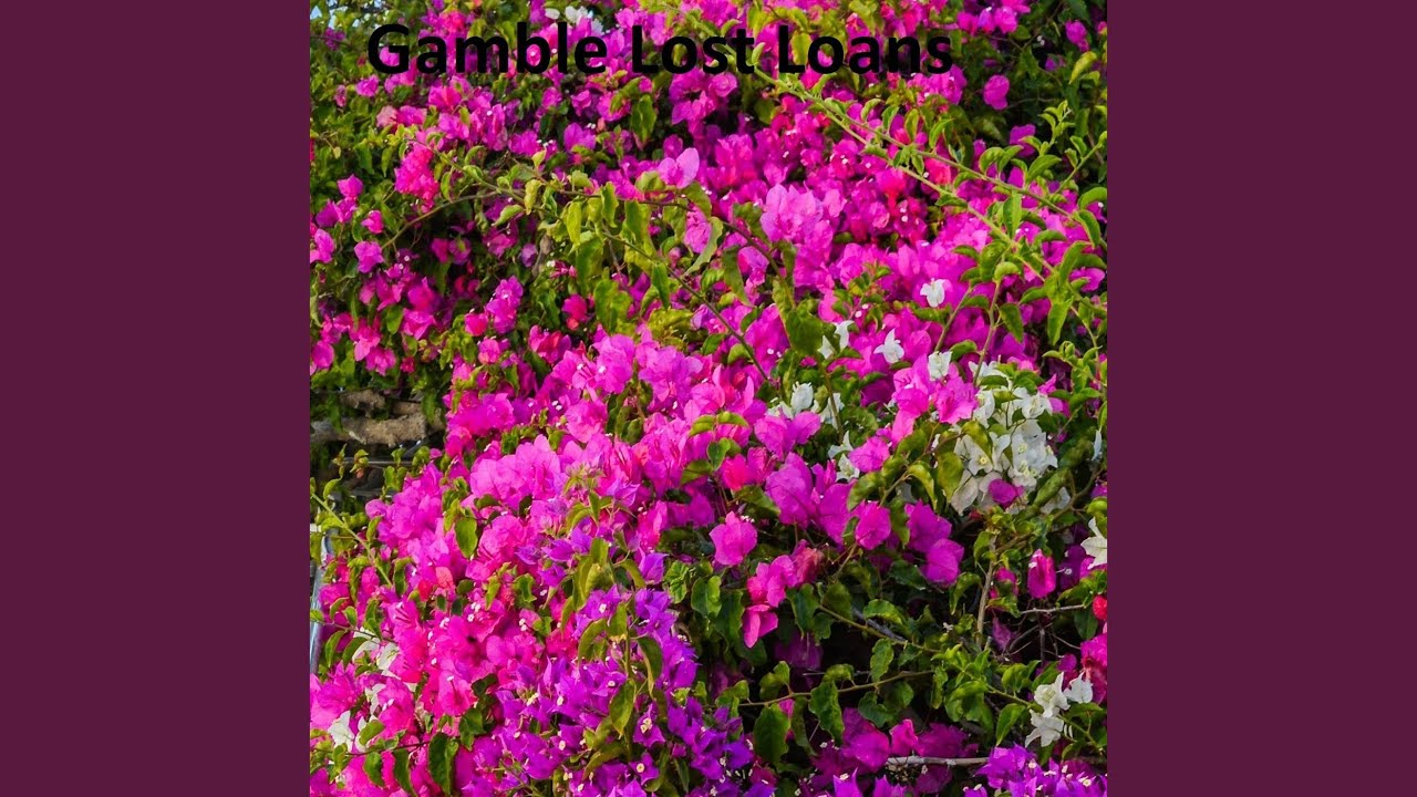 Gamble Lost Loans