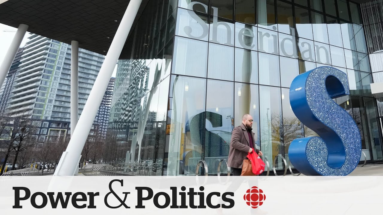 Lower international student revenue means closures, service declines: expert | Power & Politics