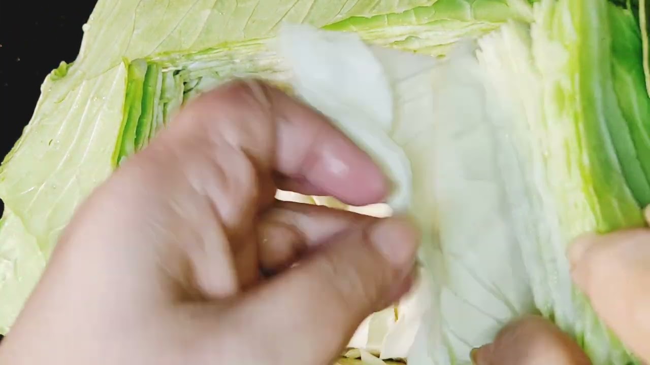 تقطيع الكرنب باسهل طريقه