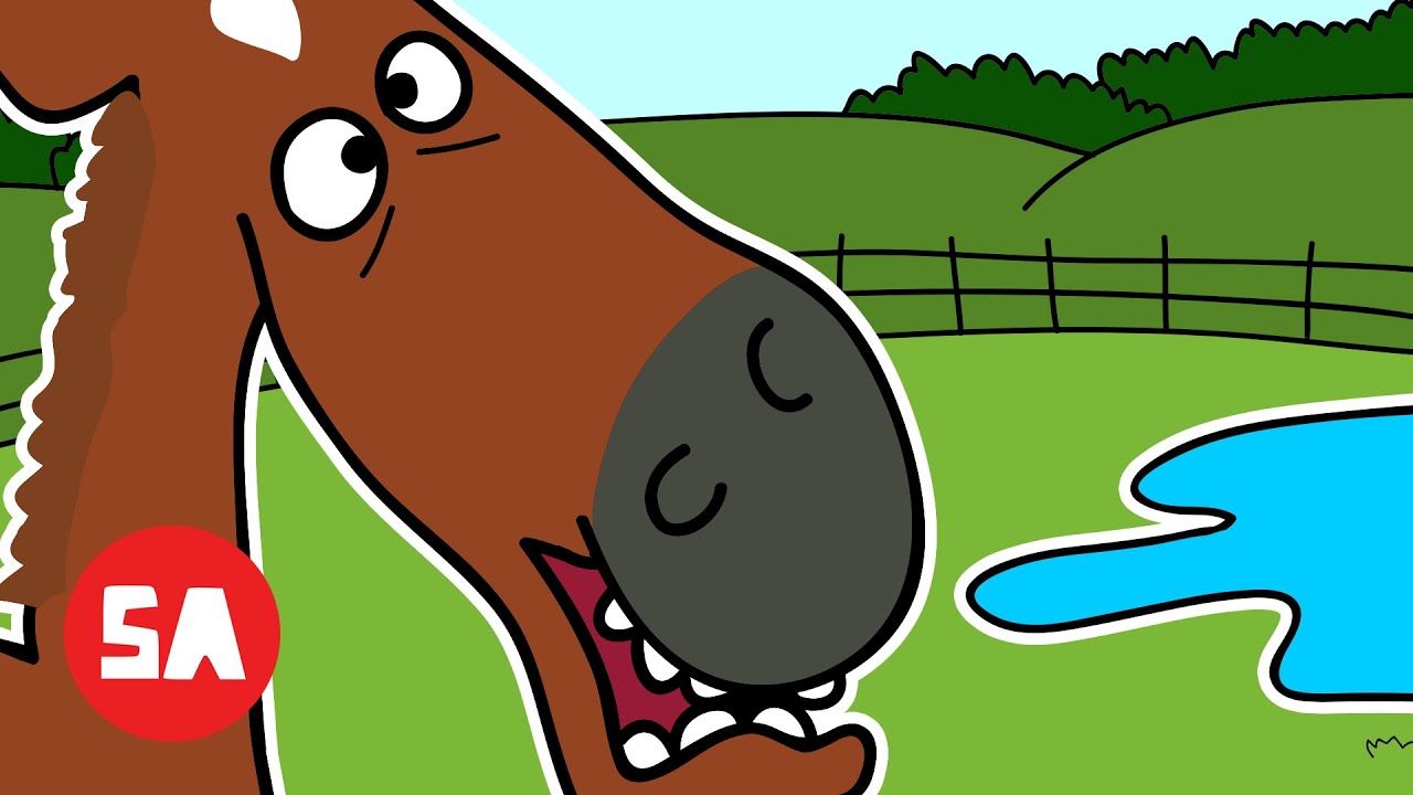 IRISH Horse Tried 1 Simple Life Hack&hellip; and It Changed Everything! | Sminky Shorts: I Can&rsquo;t Do It