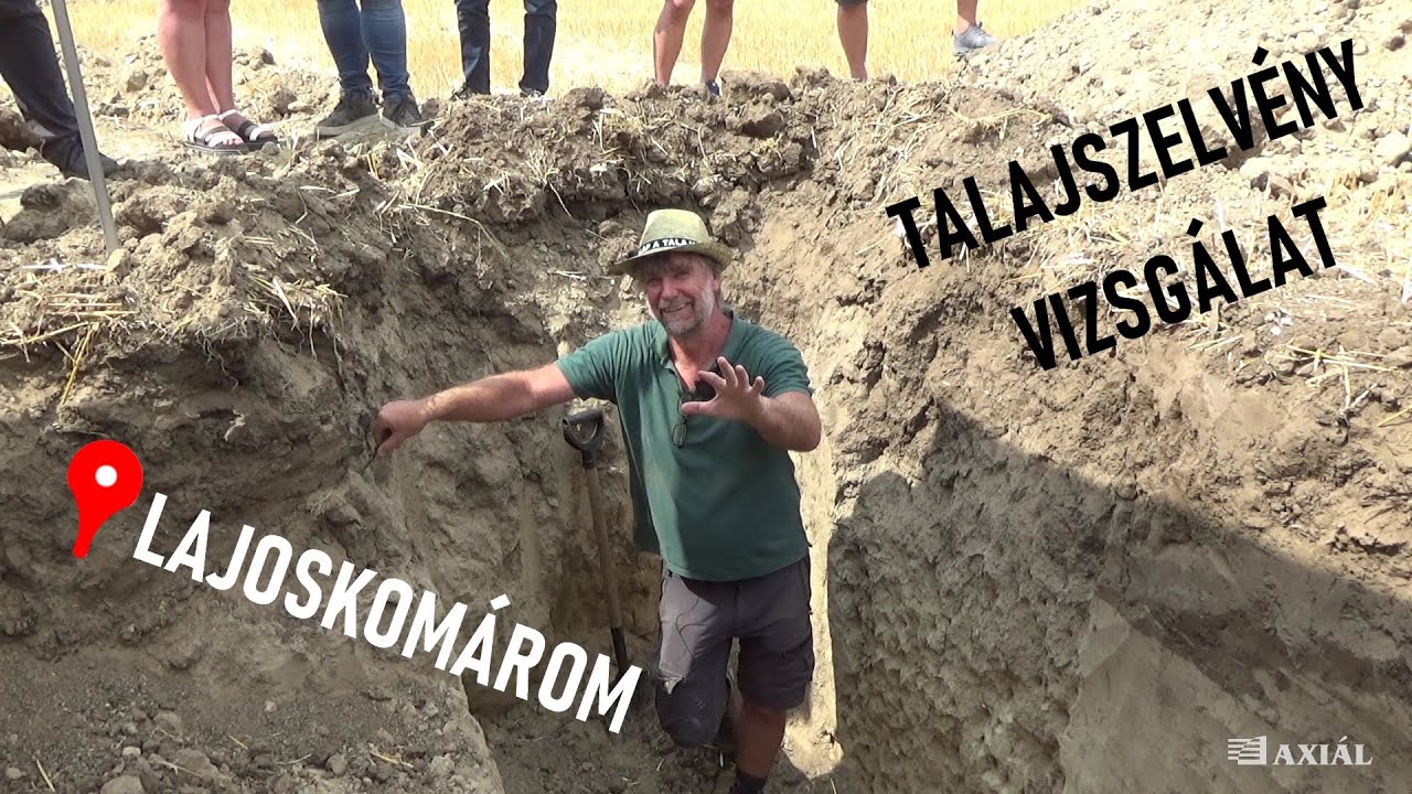 ALAP A TALAJ | Talajszelvény vizsgálat Dobos Endrével [📌Lajoskomárom]