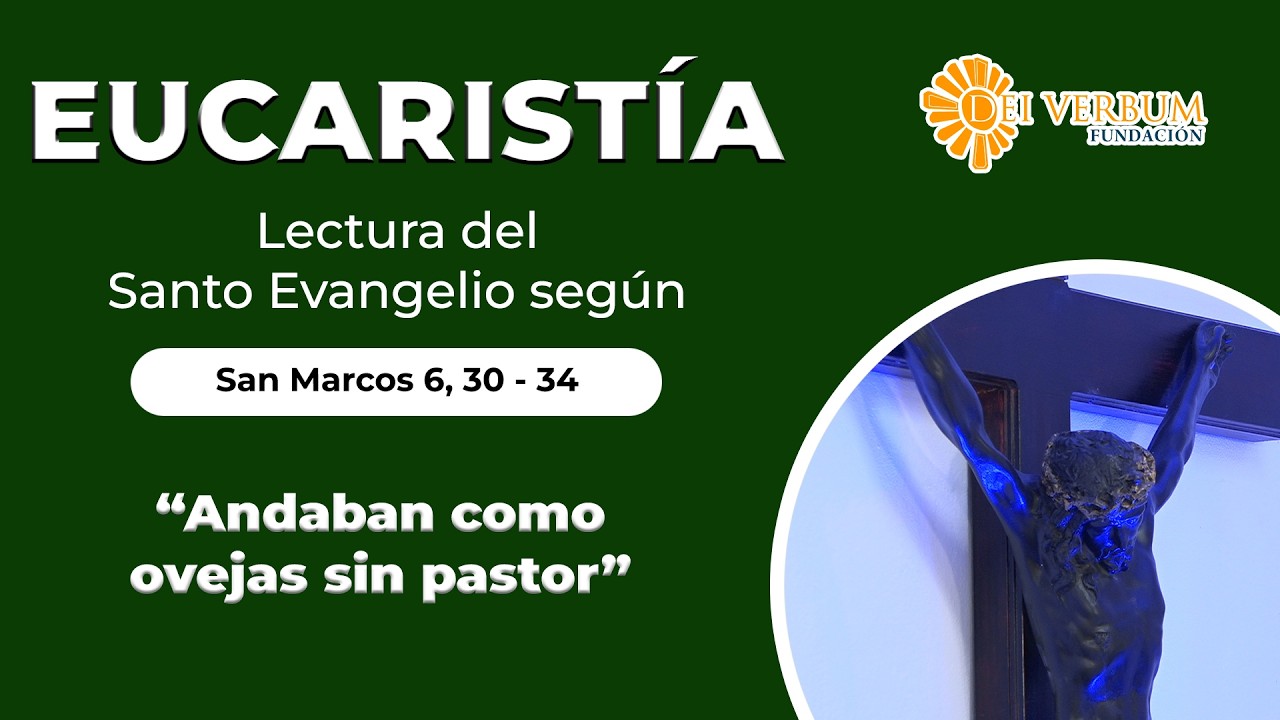 Eucaristía | 7 de febrero de 2026 | 