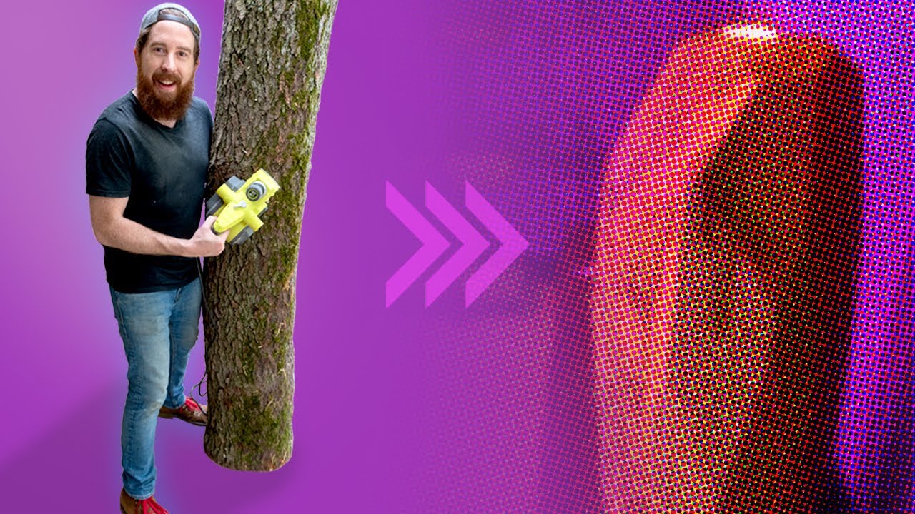 From DANGEROUS Fallen Tree to Crazy Lamp