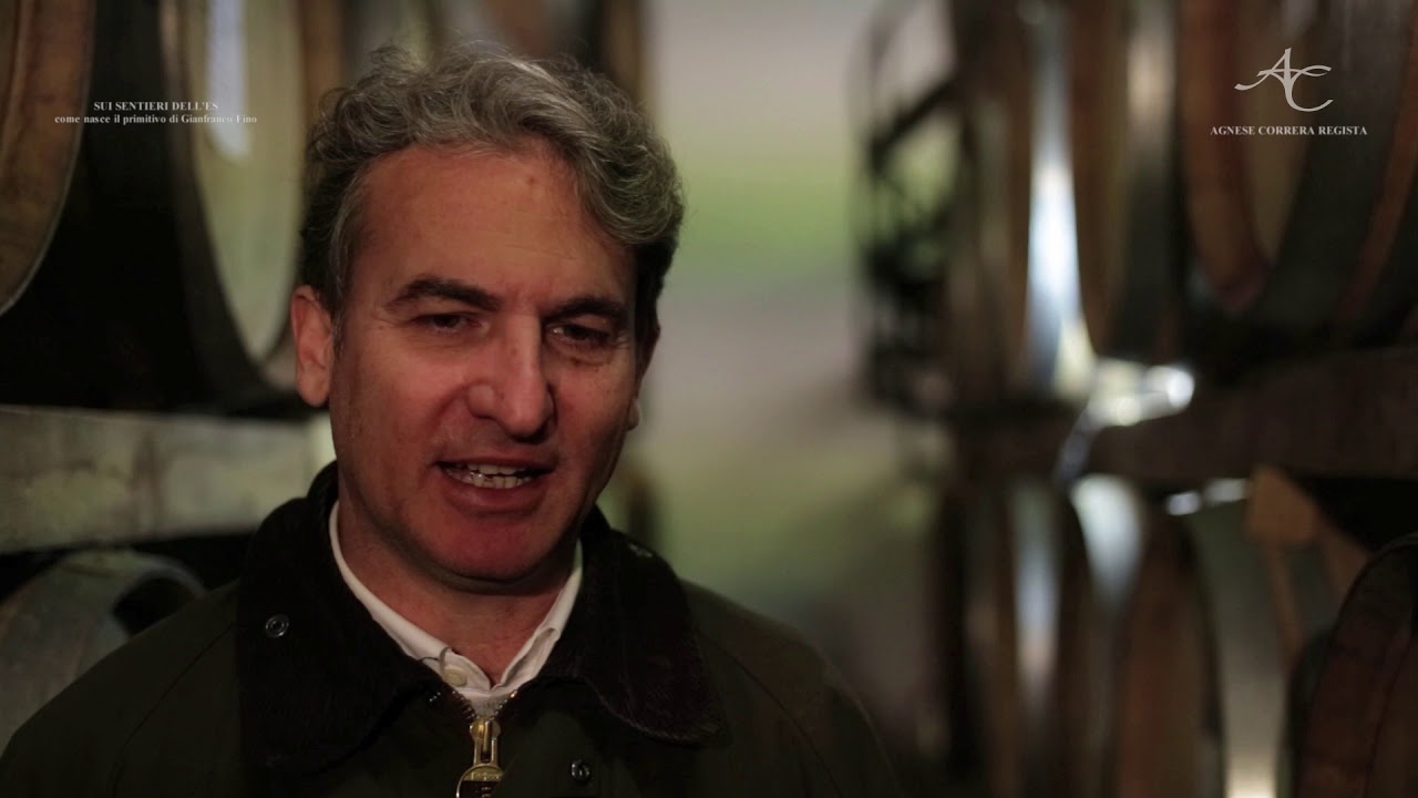 Le vigne di Gianfranco Fino