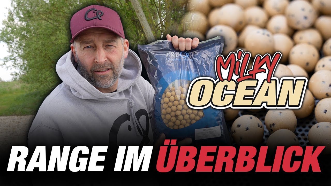 Milky Ocean Boilie: Der ultimative Gro&szlig;fisch-Magnet! | Milchprotein🥛 mit GLM 🦪 & Squid Extrakt 🐙