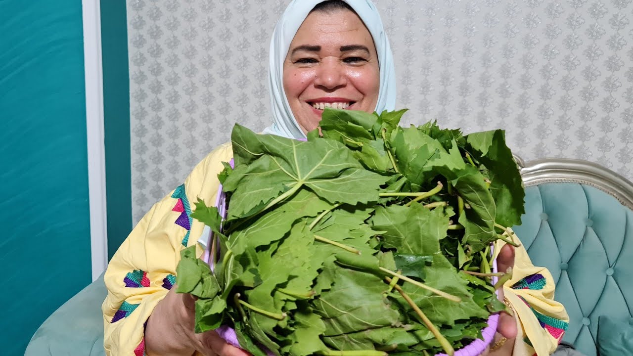 ورق العنب ولا تسلقى ولا فريزر ولا تلاجة خزنته سنة كاملة من غير تلاجة روووعة وبالدليل